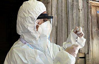 Bolu'da karlı yolları aşarak dağ köylerinde aşılama yapıyorlar