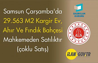 ÇARŞAMBA SULH HUKUK MAHKEMESİ SATIŞ MEMURLUĞU