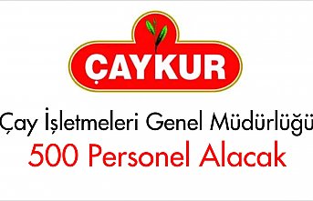Çaykur 500 Personel Alacak