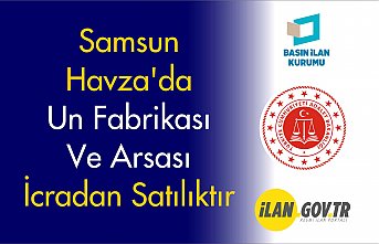 HAVZA İCRA DAİRESİ MÜDÜRLÜĞÜ