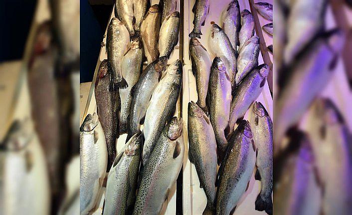 Karadeniz somonu yılın ilk iki ayında 30 ülkeye ihraç edildi