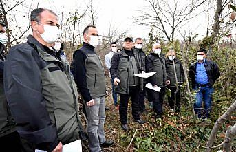 Samsun'da doğada yetişen “defne“ ekonomiye kazandırılıyor