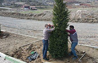 Tokat Belediyesi şehitlikte ağaçlandırma ve bakım çalışmaları yapıyor