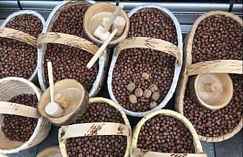 Türkiye son 6 ayda en fazla fındığı İtalya'ya sattı