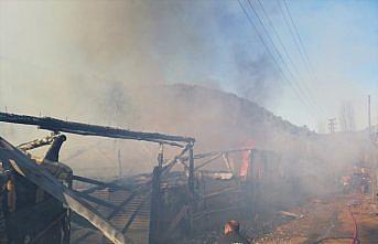 Amasya'da yanan ahırlardaki 19 büyükbaş hayvan telef oldu