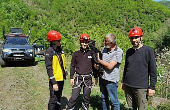 Artvin'de kayalıklarda mahsur kalan oğlak kurtarıldı