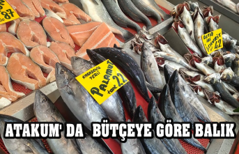 ATAKUM' DA  BÜTÇEYE GÖRE BALIK