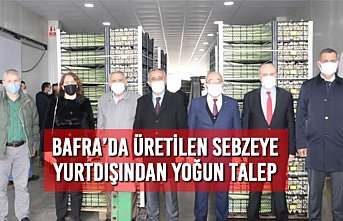 Bafra’da Üretilen Sebzeye Yurtdışından Yoğun Talep