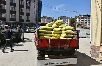 Boyabat ilçesinde çiftçilere 30 ton çeltik tohumu dağıtıldı