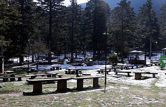 Gölcük Tabiat Pakı'nda açan çiçekler güzel görüntü oluşturdu