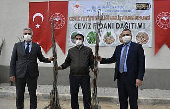 Gümüşhane'de çiftçilere 5 bin 600 adet ceviz fidanı dağıtıldı