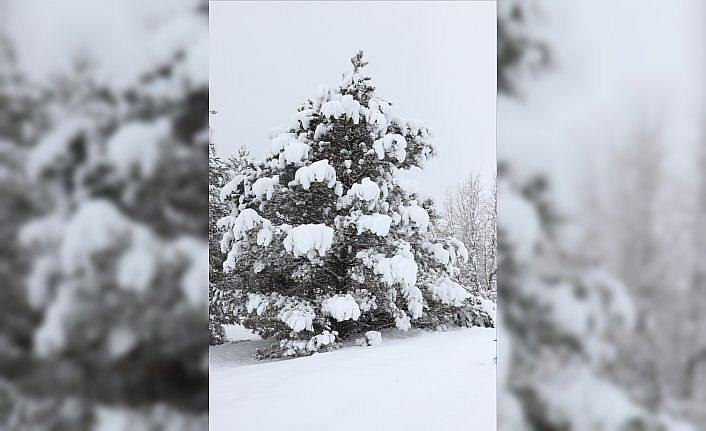 Kastamonu, Çorum, Sinop, Tokat ve Çankırı'da kar etkili oldu