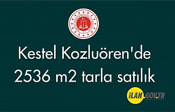 Kestel Kozluören'de 2536 m2 tarla icradan satılıktır (çoklu satış)