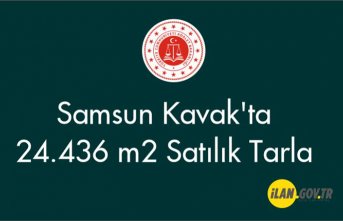 Samsun Kavak'ta 24.436 m2 Satılık Tarla