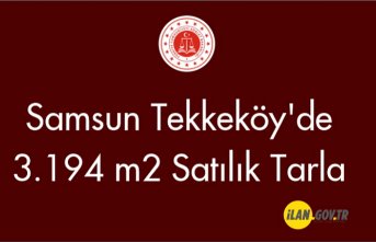 Samsun Tekkeköy'de 3.194 m2 Satılık tarla