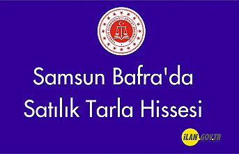 Samsun Bafra'da Satılık tarla hissesi