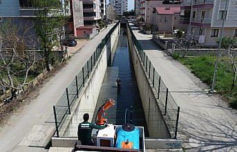 Samsun'da dere ve ırmaklarda larva temizliği