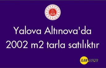 Yalova Altınova'da 2002 m2 tarla icradan satılıktır