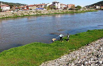 Yeşilırmak Nehri'nde mahsur kalan köpek itfaiye ekiplerince kurtarıldı