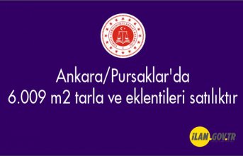 Ankara/Pursaklar'da 6.009 m² tarla ve eklentileri Satılık