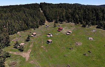 Baharın tüm güzelliklerini sergileyen Kastamonu yaylaları ziyaretçilerini bekliyor