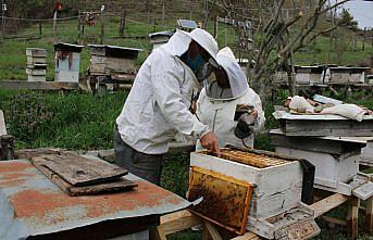 Bolu'da arıların bahar hazırlığı başladı