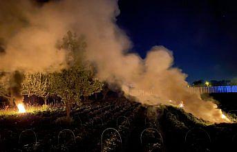 Çilek tarlasında zirai dona karşı dumanlı gece nöbeti