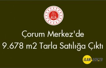 Çorum Merkez'de 9.678 m² tarla Satılığa Çıktı