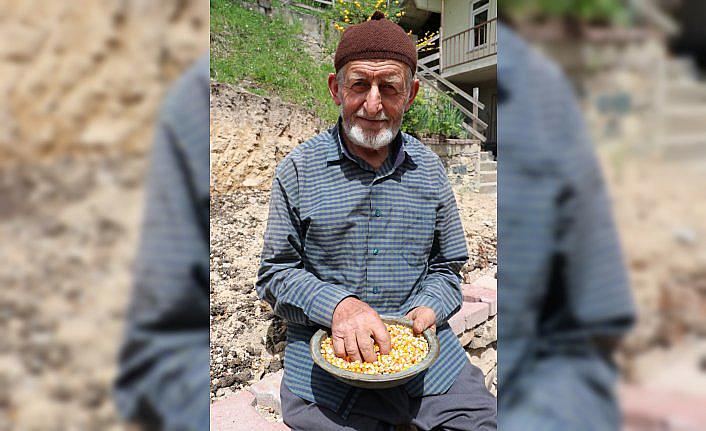 Dededen kalma tohumlarla 70 yaşında çiftçilik yapıyor