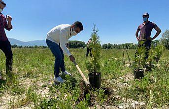 Doğaya 120 fidan dikme şartıyla uzlaştılar