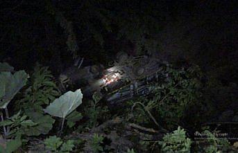 Düzce'de arı kovanı yüklü kamyon uçuruma devrildi: 3 yaralı