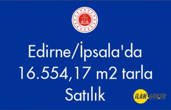 Edirne/İpsala'da 16.554,17 m2 Satılık tarla