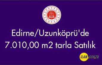 Edirne/Uzunköprü'de 7.010,00 m2 Satılık tarla