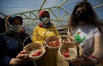 Fedakar öğretmenler 
