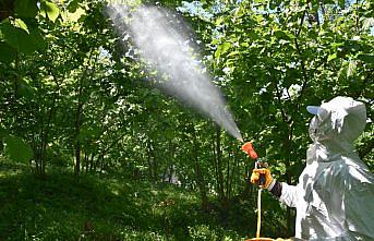 Fındık üreticilerine, hastalık ve zararlılarla mücadele için ilaçlama uyarısı