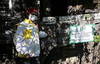 Genç Çiftçi Projesi'nden faydalanan Ordulu kadınlar arıcılık yapıyor