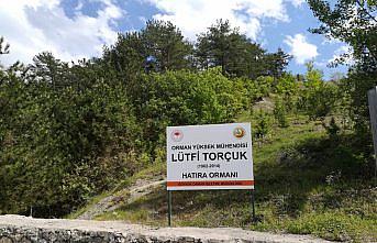 Göynük'te Orman Mühendisi Lütfi Torçuk adına hatıra ormanı oluşturuldu