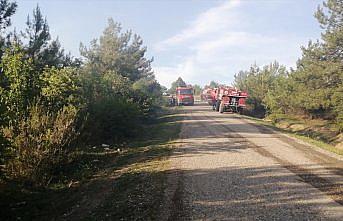 GÜNCELLEME - Kastamonu'da çıkan orman yangını kontrol altına alındı