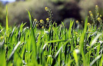 Karabük'te kullanılmayan tarım arazileri üretime kazandırılıyor