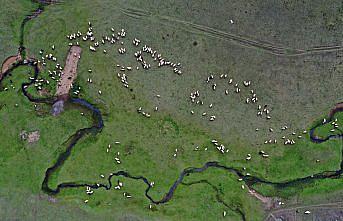 Karadeniz yaylaları muhteşem manzaraları ile ziyaretçilerini bekliyor