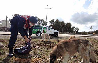 Kastamonu ve Amasya'da 