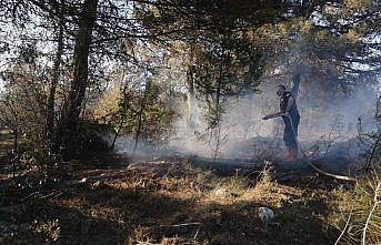 Kastamonu'da çıkan orman yangınına müdahale ediliyor