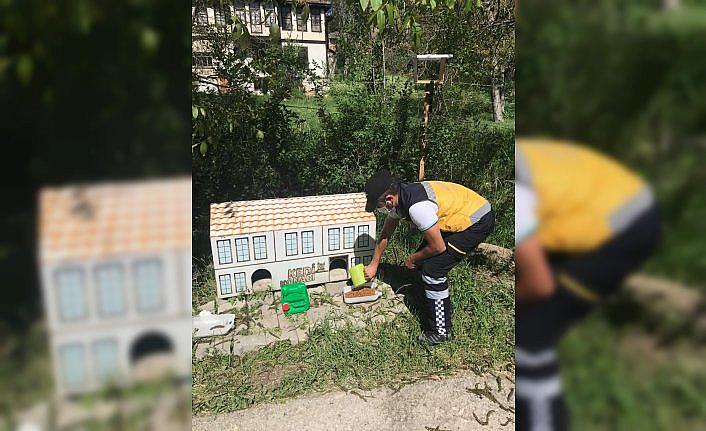 Kastamonu'da tam kapanma döneminde sokak hayvanları unutulmadı