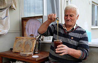 Kastamonu'da üretilen kestane balında kovan sayısı ve rekolte arttı