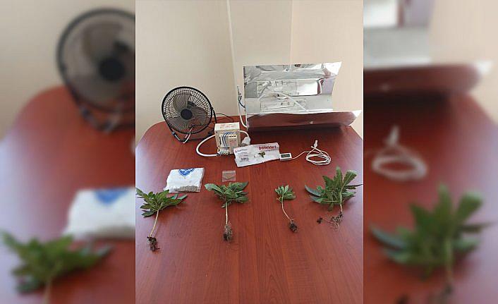 Kastamonu'da uyuşturucu operasyonunda 3 şüpheli yakalandı