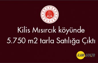Kilis Mısırcık köyünde 5.750 m2 Satılık tarla
