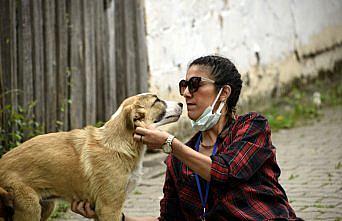 Kısıtlama döneminde sokak hayvanları aç kalmasın diye seferber oldu