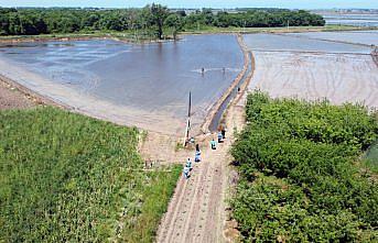 Kovid-19 aşısını çeltik tarlasında oldu