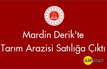 Mardin Derik'te  tarım arazisi Satılığa Çıktı