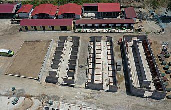 Ordu'da Sokak Hayvanları Geçici Bakımevi Hayvan Hastanesi'ndeki çalışmalarda sona gelindi